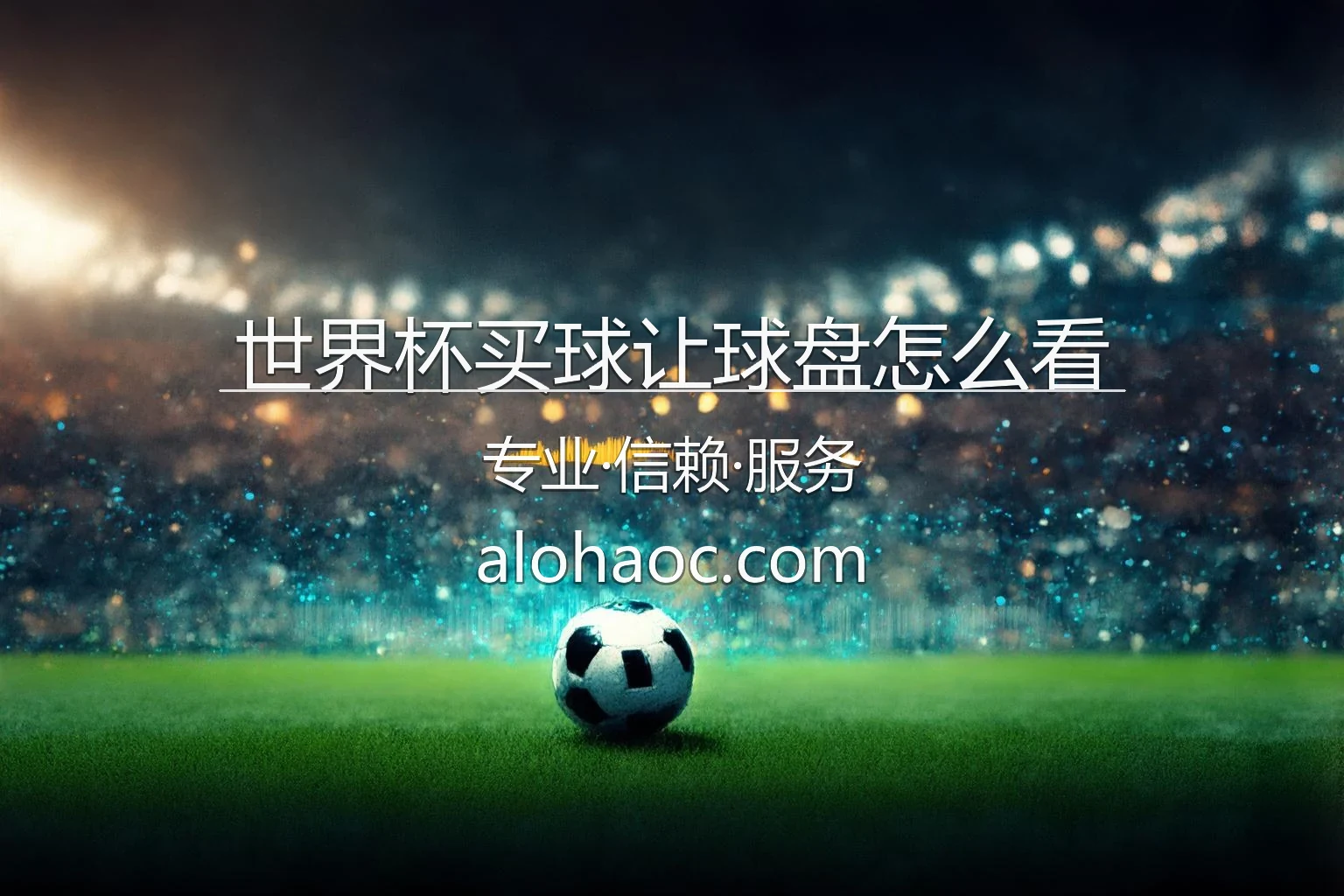 世界杯买球让球盘怎么看官网